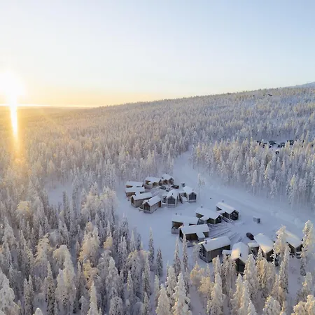 North Amber By In Lapland *